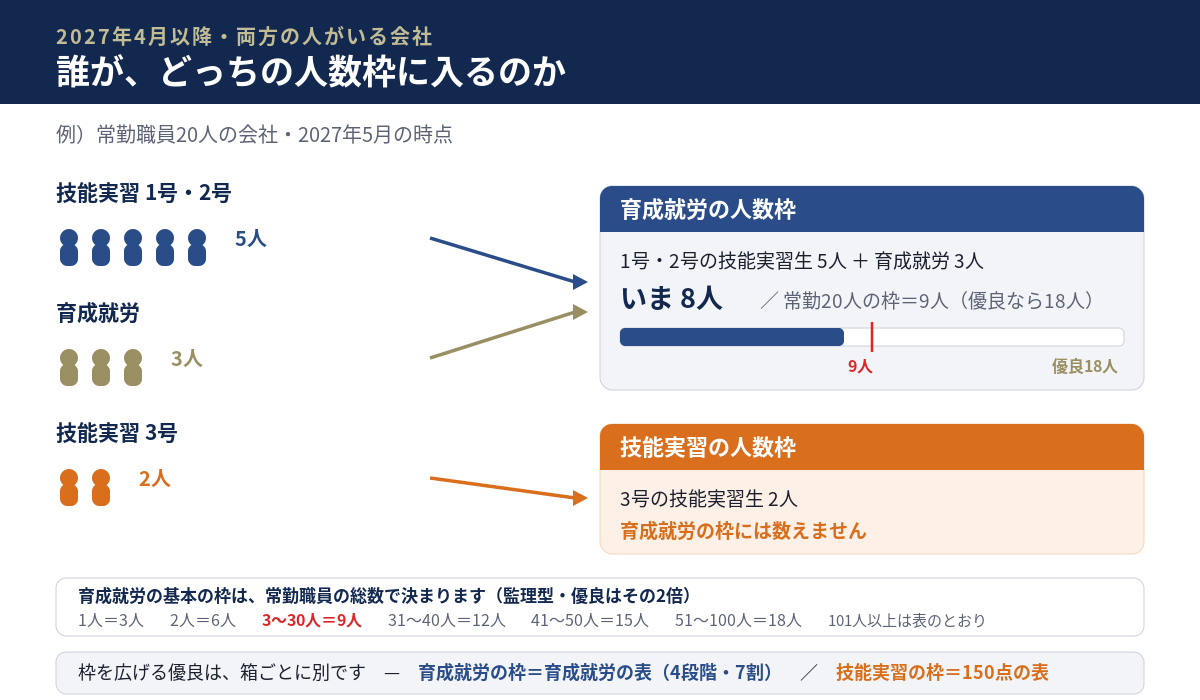 常勤職員20人の会社の例。技能実習1号・2号の5人と育成就労の3人は育成就労の人数枠に入り、合計8人。基本の枠は9人、優良なら18人。技能実習3号の2人は技能実習の人数枠で、育成就労の枠には数えない。